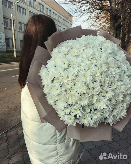 Букеты-гиганты Хризантем