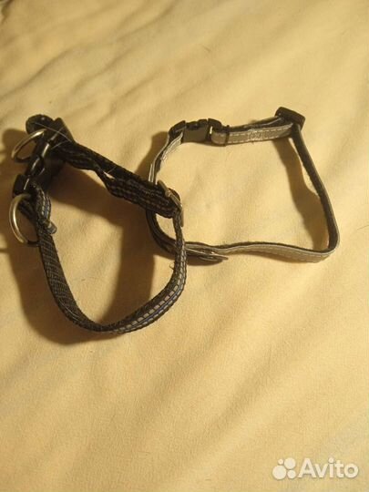 Ошейник и поводок для маленькой собаки или щенка