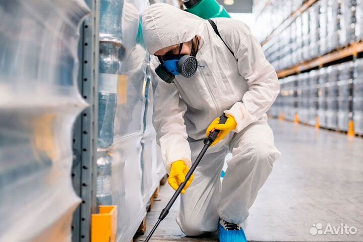 Готовый бизнес на дезинфекции