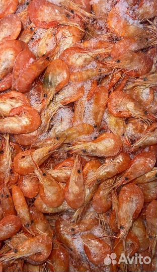 Креветка черноморская
