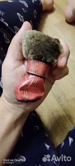 Одежда для маленьких собак xs-s