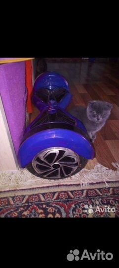 Гироскутер бу