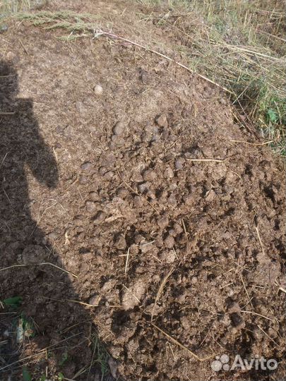 Навоз конский