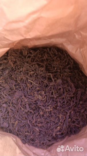 Иван чай Алтай