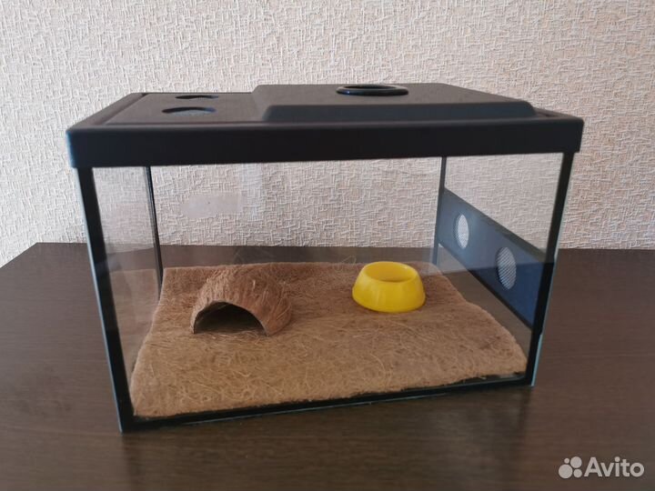 Улиткарий : дом для улиток, ящериц, черепах и т.д