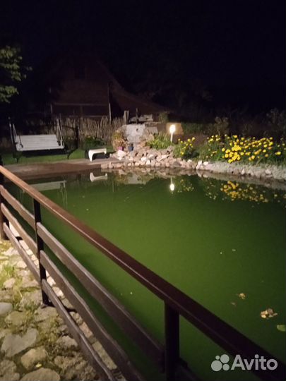 Баня на дровах (район Сельма)