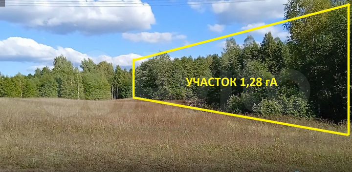 Участок 1,3 га (СНТ, ДНП)