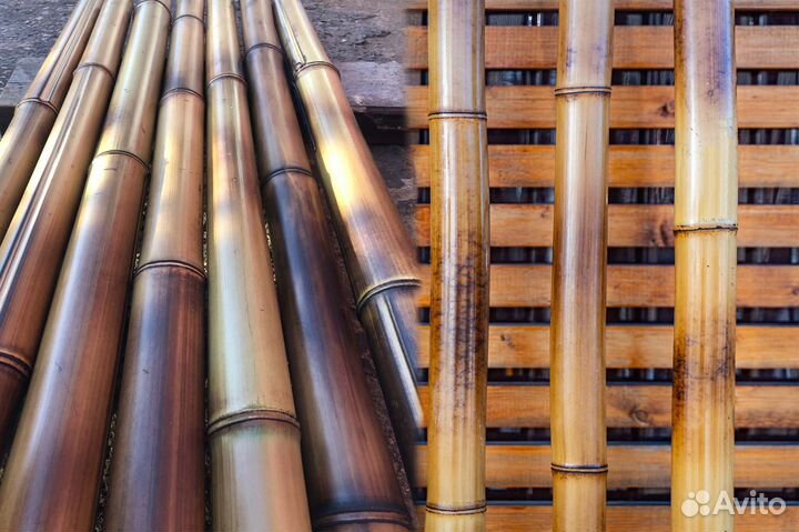 Бамбуковые стволы
