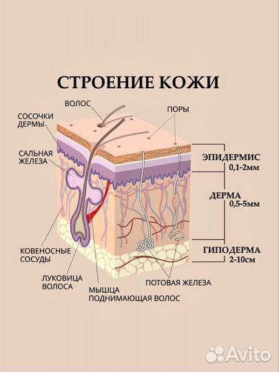 Обучение лазерной эпиляции с нуля Севастополь