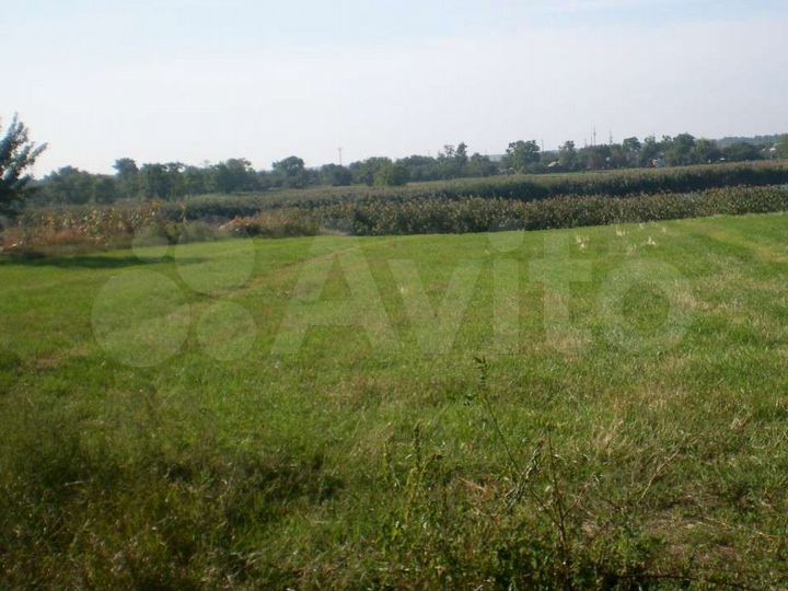 Участок 31 сот. (СНТ, ДНП)