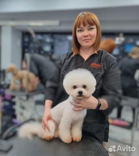 Стрижка собак (Груминг)