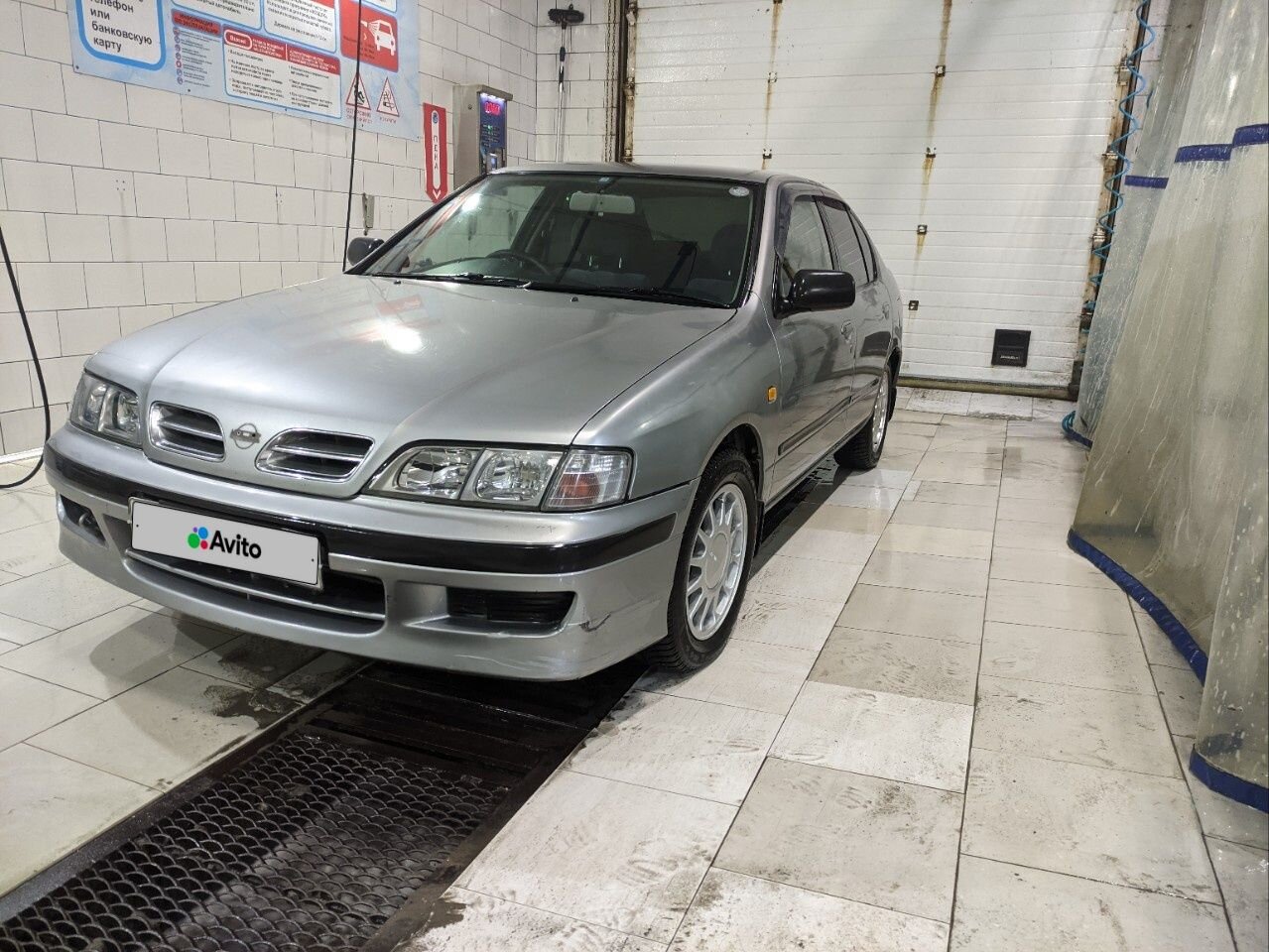 Nissan Primera: фото владельца
