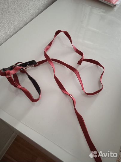 Шлейка- поводок