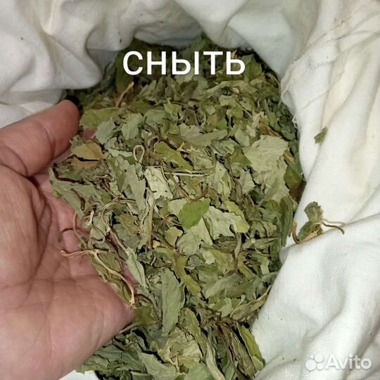 Сухие травы