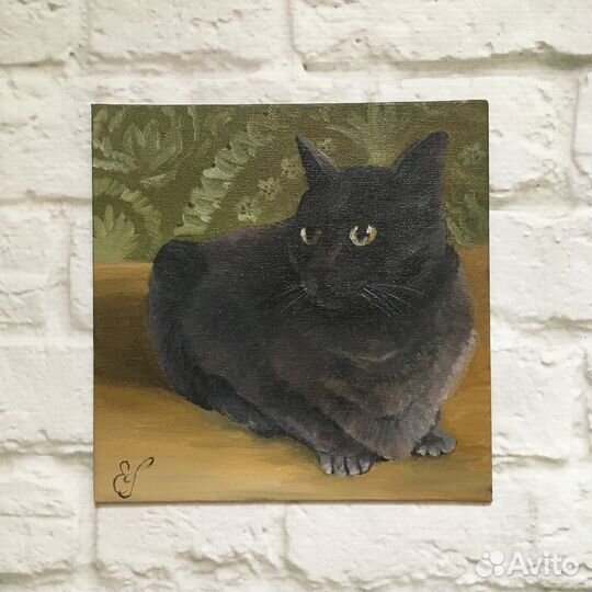 Картина маслом Кошка