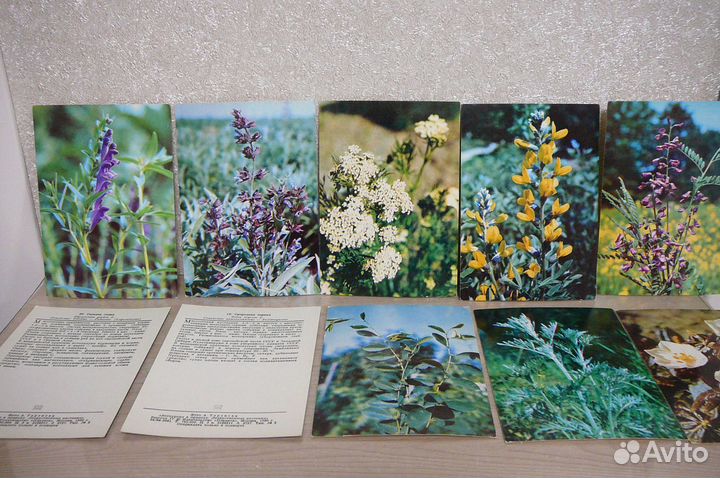 Открытки СССР