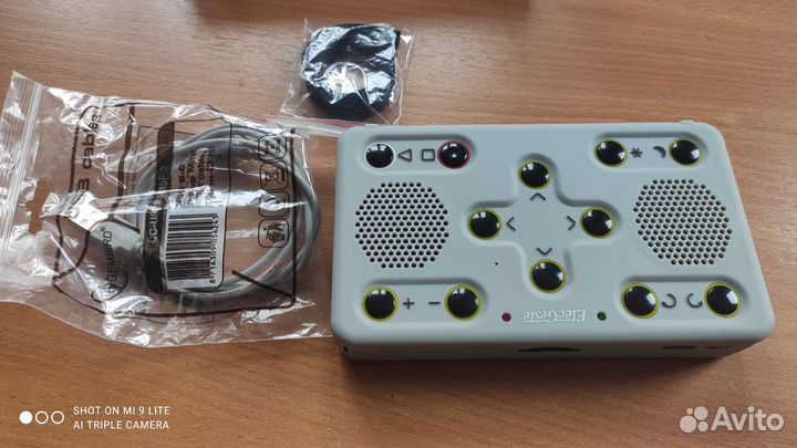 Тифлофлешплеер elecgeste dtbp 301