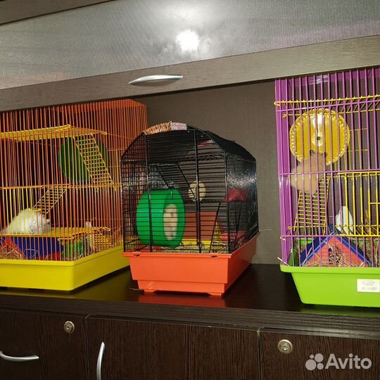 Клетка для сирийского хомяка