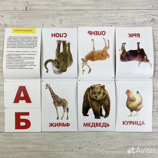 Развивающие карточки по методике Домана