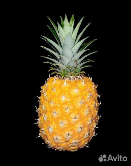 Кальянный Кетейринг/Аренда Кальяна/Доставка на Дом