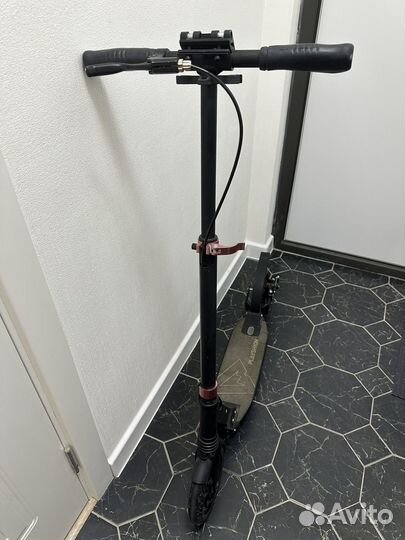 Самокат Playshion Vegas для взрослых