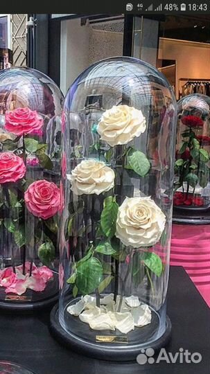 Колба стеклянная, купол, клош