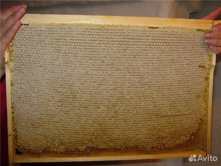 Рамки с вощиной