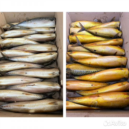 Рыба холодного копчения и провесная