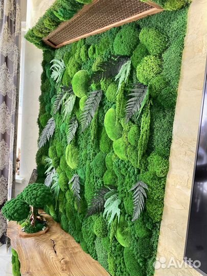 Мох сублимированный. Вертикальное озеленение
