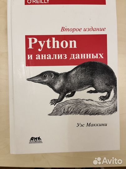 Python и анализ данных O'Reilly Уэс Маккини