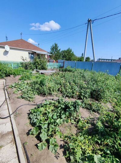 Дом 100 м² на участке 15 сот.