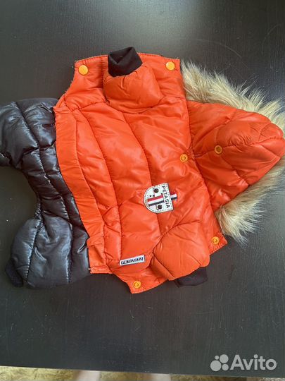 Комбинезон для маленькой собаки