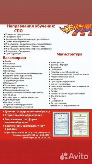 Поступление в университет