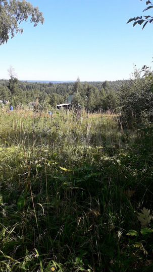 Участок 10 сот. (СНТ, ДНП)