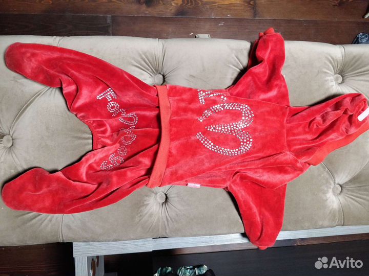 Одежда для собак средней породы