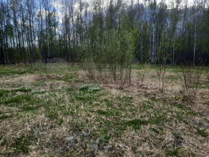 Участок 10 га (СНТ, ДНП)