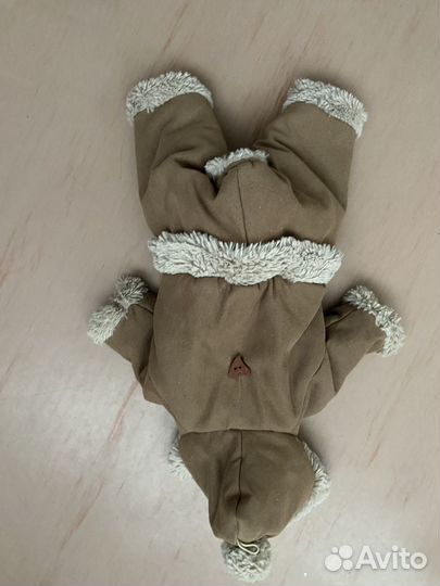 Одежда для собак