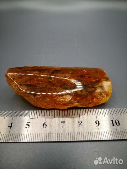 Янтарь с инклюзами, Калининград