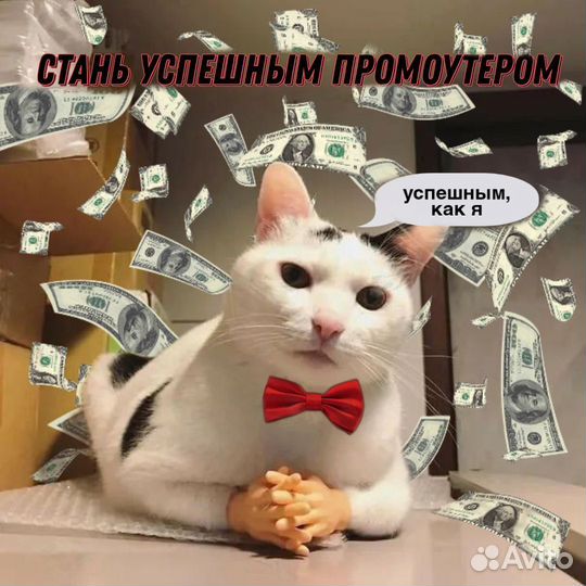 Подработка промоутер