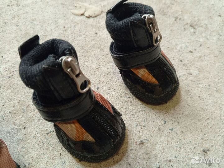 Одежда для маленьких собак