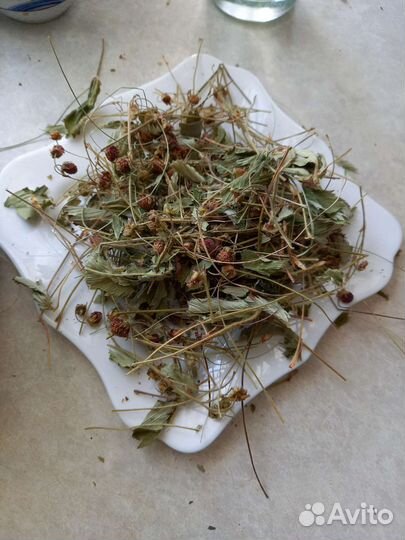 Листья земляники с ягодами, душица для чая