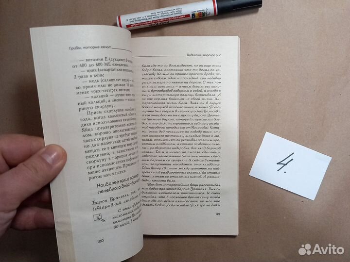 Грибы, которые лечат