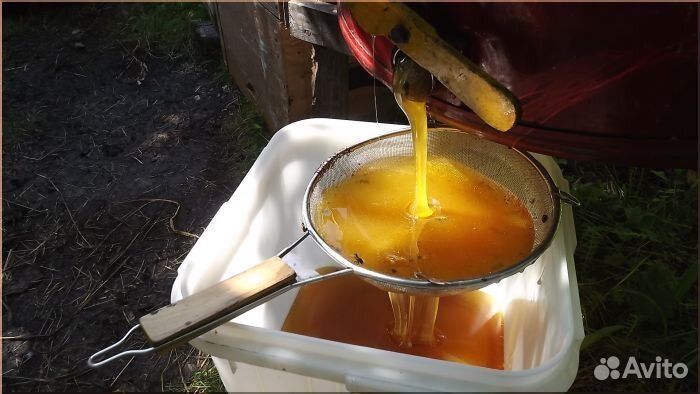 Мёд Липа, Акация, Донник оптом от 100 кг