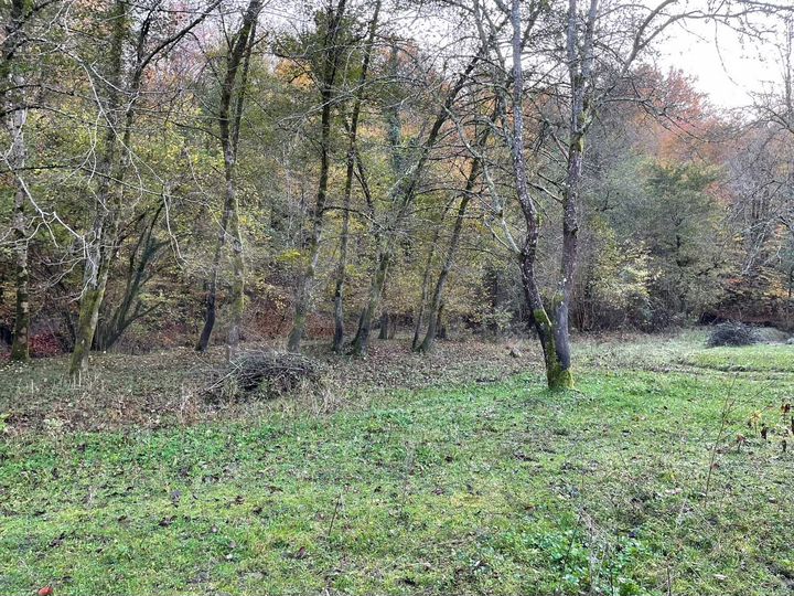 Участок 5,5 сот. (ИЖС)