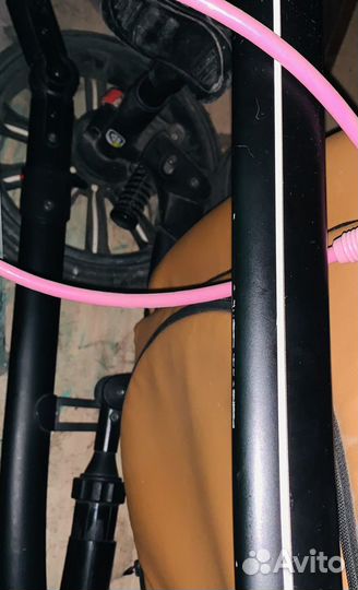 Коляска Anex sport 2 в 1