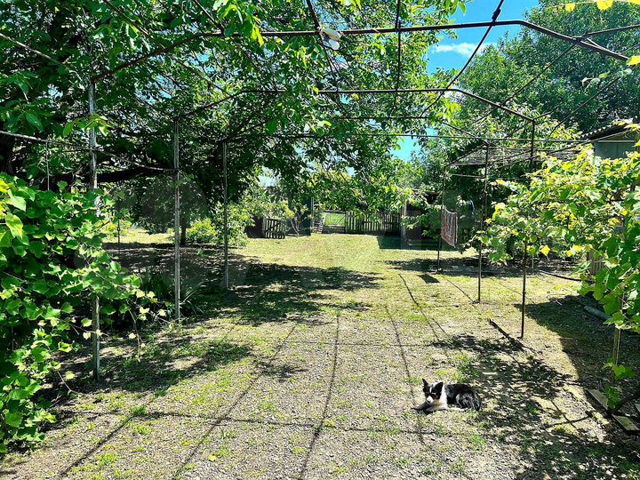 Дом 97 м² на участке 50 сот.