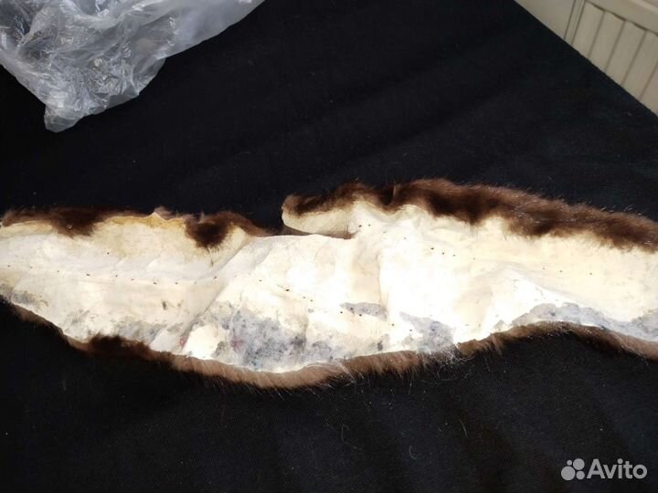 Шкурка норки