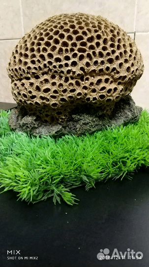 Грот для аквариума