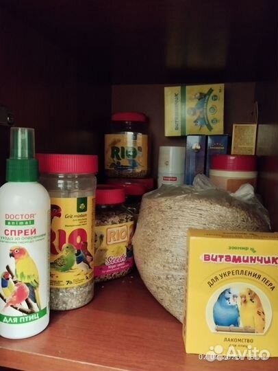 Все для птиц