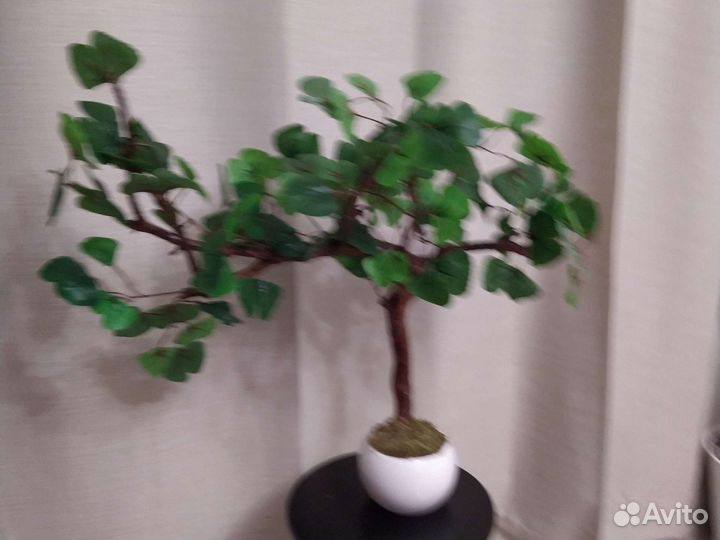 Искусственные растения для декора дома